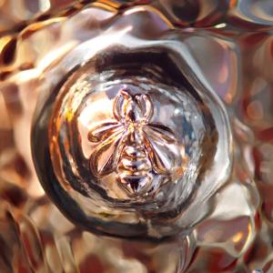 GUERLAIN Aqua Allegoria Forte Rosa Rossa Eau de Parfum