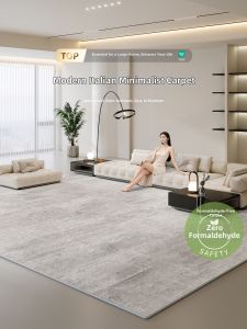 BOZK | Washable Stain-Resistant Minimalist Style Grey Carpet