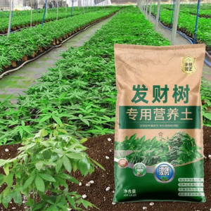 KANGJIEXING | Fortune Tree Planting Soil Flowering Enhancement