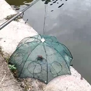 โปรแรงแถมอาหารทุกแพ็ค ตาข่ายดักปลา แพ็ค5ชิ้น แพ็ฺค10 ชิ้น ที่ดักกุ้งฝอย มุ้งดักปลา มุ้งดักกุ้ง กระชังดักปลา อุปกรณ์ตกปลา อวนจับปลา แหจับปลาB104***ดูตัวเลือกสินค้าก่อนสั่งซื้อนะคะ***