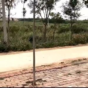 Prakan ตาข่ายปลูกผัก โครงไม้เลื้อย ค้างไม้เลื้อย ตาข่ายพลาสติก เอ็น ตะข่ายเอ็น ต้นไม้เลื้อย อวนแตงหลักไม้เลื้อยตาข่ายไม้เลือย