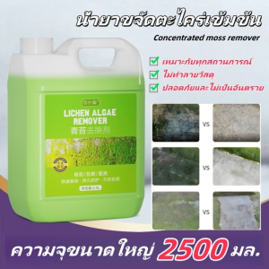 ขนาด 2500 มล ผงขจัดคราบตะไคร่น้ำ ไม่ต้องขัด ผงจำกัดคราบตะไคร่น้ำ ผงขัดพื้น น้ำยาขัดพื้น ขัดห้องน้ำ น้ำยาขจัดยับยั้งตะไคร่น้ำ การขจัดเชื้อรา