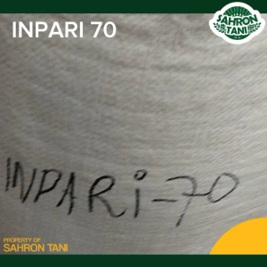 BENIH PADI INPARI 70 JUMBO (SPESIAL TERBARU) | 5KG | 1KG | BIBIT KUALITAS SUPER ASLI | COD