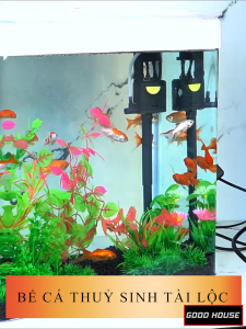 Bể cá mini kính đúc siêu trong có đèn led và máy lọc - Bể cá để bàn làm việc decor phòng