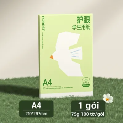 deli | Giấy In A4 Dùng Cho Học Sinh Bảo Vệ Mắt 75gsm