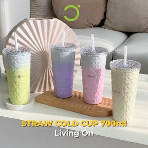 Ly nước giữ nhiệt có ống hút LivingOn LivingOvoje 700ml - Straw Cold Cup - SY-064