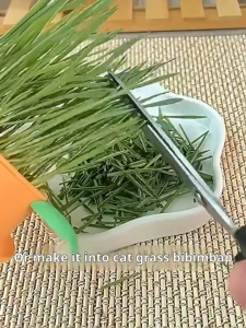 Cat Grass Seed Box Cute Soilless Hydroponic Pet Cat Treat Snack Easy to Grow Packed With Nutrients