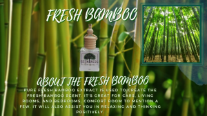 Anti-Bacterial Car Fragrance & Pure Natural Oil Diffuser: Refresh & Relax