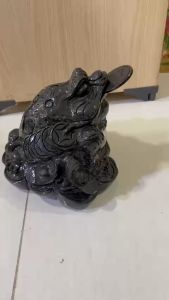 [HCM]Thiềm thừ đá tự nhiên loại to màu đen NẶNG 18 KG ngang 30cm cho người mệnh Mộc và Thủy