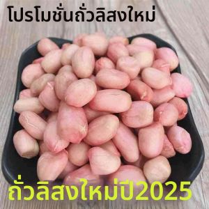Fresh Shahuang Peanuts Peeled