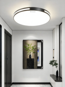 Chigo | Eye-Care Ceiling Light Modern & Simple Circular Thin Lamp