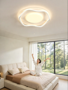 DGY | Sleek Cream-style Bedroom Ceiling Light