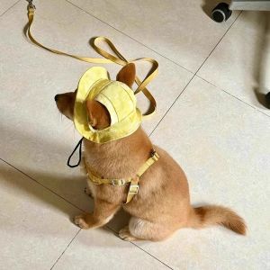 Dog Hat Exposed Ears Small Size Dogs Corgi Puppy Pomeranian Sun Hat Pet Bucket Hat Cat Sun Protection Headdress