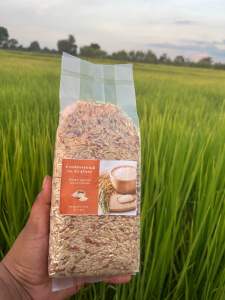 ข้าวซ้อมมือข้าวหอมมะลิ🌾🌾43 เหมาะกับคนที่ต้องการคุมน้ำตาลในเลือด ข้าวน้ำตาลน้อย สำหรับคนควบคุมน้ำหนัก คนเป็นโรคเบาหวาน1kg แพ็คสูญญากาศ น้ำหนัก1kgรวมกล่องบรรจุภัณฑ์