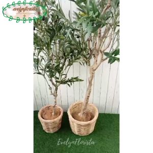 Pohon Hias Artificial Zaitun Olive X3 T140 & T180 Latex Cover Anyaman Rotan Bulat Hiasan Apartement
