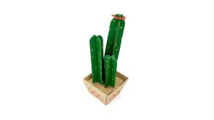 MFK04D - 7x7x18.5 cm - Cây xương rồng lắp ráp bằng giấy carton để bàn trang trí bộ xếp hình sáng tạo