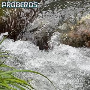 Móc Câu Kim Loại Proberos 14-40g Dành Cho Câu Cá Bass Kèm Móc Phụ Câu Bờ Câu Jigging Mồi Câu Giả Dụng Cụ Câu Cá.