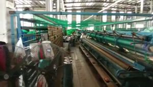 50/100m Thicken Chicken Net Range Net for Chicken Lambat Outdoor Poultry Net Fishing net Ranging Net Durable