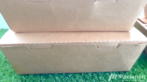 (CARTON) Kraft Window Lunch Box – Takeaway Salad/Food Packaging Boxes Eco-Friendly Bulk Pack