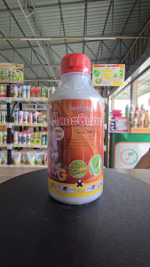 ไดอะซินอน (บริษัท เอจี ) สารเคมีกำจัด เพลี้ยอ่อน หนอนเจะต้น ด้วงหมัดผักแมลงหวี่ขาว แมลงวันผลไม้ ด้วงงวง หนอนแมลงวัน เพลี้ยแป้ง สูตรเย็น