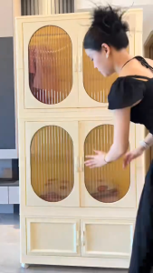 Goody Foldable Storage Cabinet for Clothes Plastic Storage Cabinet Transparent Storage Cabinet With Wheels