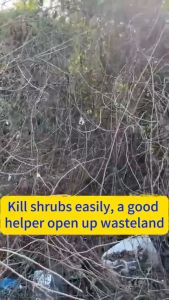 🔥100% effective root killing🔥 Tree killer 500g weed killer Hexazinone racun rumput mati akar racun pokok paling kuat racun rumput paling kuat racun pokok kayu besar 除草剂 灭树粉 环嗪酮