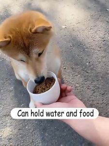 Portable Pet Drinking Water Bottle For Dogs And Cats