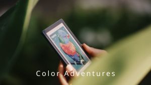 PocketBook Verse Pro Color (2024) - 16 GB + 6 inch Display eReader | Unlimited eBooks Package