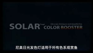Borneo Wild Aquatic Neo-Helios Channa Use Solar Colour Booster Light Lampu 尼奥SOLAR发色灯雷龙鱼增艳增色专用灯