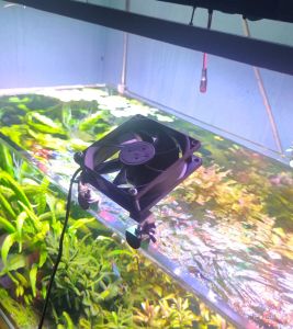 kipas aquascape 8x8cm plus adaptor dan dudukan fleksibel