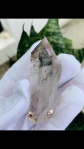 Green Phantom Quartz is known as a “career crystal” #满天星绿红幽灵  六角柱具有集中&放大能量的能力