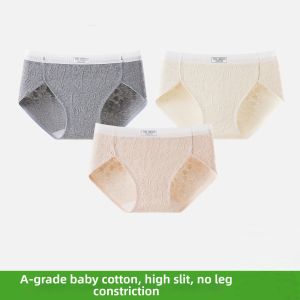 High Slit Comfort Stretch Cotton Panties