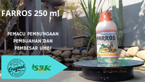 Kalium Phospat kalium 250 ml Pembesar Buah Dan Umbi memperlebat bunga buah dan umbi