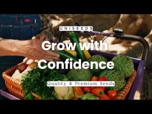 Discovering Rare & Heirloom Vegetable Seeds: Fairytale Eggplant, Italian Black Nadia, & Giant Dinnerplate Tomatoes