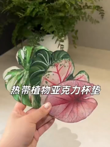 Creative Acrylic Leaf Coaster Heat Resistant Cup Mat Waterproof Drink Coffee Tea Mug Coaster Monstera Anthurium Tropical Plant Table Protector Decorative Home Kitchen Office Desk Table Decor Reusable Housewarming Gift Accessories