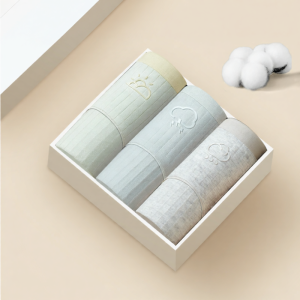MiiOW | Pure Cotton Antibacterial Mid-Waist Womens Invisible Underwear Soft Silk Lining Comfortable Everyday Briefs for Young Women