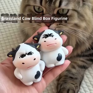 Cute Mystery Box Figure Doll Mini Expression Package Fun Ornament