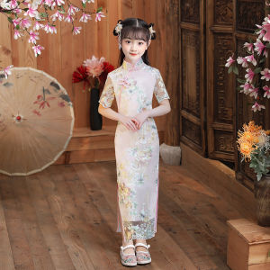 Girls Cheongsam Womens 2024 Chinese Princess Dress Slim Fit Daily Long Catwalk Performance Costumes Summer Cheongsam Guzheng