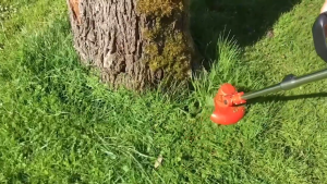 598V Mesin Potong Rumput Batrai Pemotong Rumput Listrik Mesin Pemotong Rumput Tanpa Kabel Pemangkas Rumput Dengan Baterai Li-ion