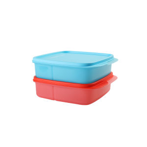 Tupperware | Compact Partitioned Lunch Bento 550ml