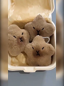 SHENHAO2🎀 พวงกุญแจ จี้ตุ๊กตาการ์ตูนดาวยิ้มน่ารัก แบบสร้างสรรค์ เหมาะกับของขวัญ สําหรับห้อยกระเป๋าถือ