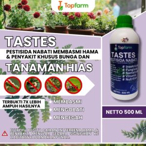 Obat Hama Kaktus & Sukulen: Solusi Organik & Efektif