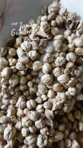 Kapulogo atau Kapulaga Kering 50gr Organik - Tanpa Pemutih