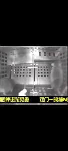 Perangkap Tikus Automatik Besi Continuous Rat Mouse Trap Cage Tangkap Banyak Ekor Sekaligus Big Size