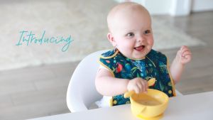 Bumkins Swap Pocket Bib ผ้ากันเปื้อนมาพร้อมกระเป๋าซิลิโคนแบบถอดได้ สำหรับ 6-18 เดือน