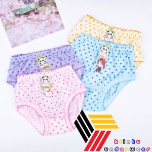 (6pcs) Celana Dalam Wanita