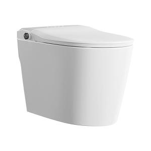 DONGPENG | New Automatic Smart Toilet