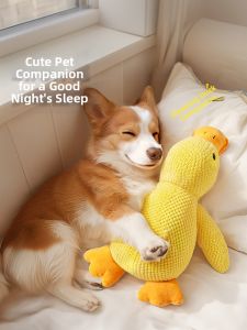 7o | Squeaking Teething Durable Dog Toy