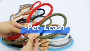 Dây dắt Chó kiêm vòng cổ hình chữ P chiều dài 1.8m & 2.5m (mẫu mới) - Hara Pet Shop