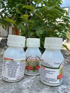 PURE K 250 ml Nutrisi Kalium Chelate Pembesar buah umbi dan penambah bobot gabah.